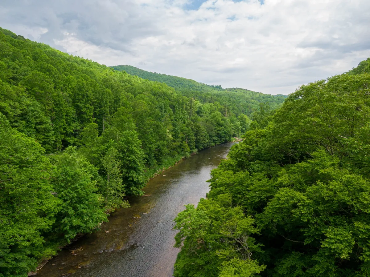 The image showcases a tranquil river winding through dense, lush greenery, with distant blue mountains on the horizon. Sunlight filters through the trees, creating a serene, rejuvenating atmosphere perfect for relaxation or outdoor adventures. The natural beauty is untouched, inviting viewers to immerse themselves in peaceful seclusion.